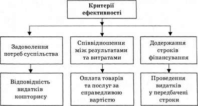 критерії ефективності витрачання бюджетних коштів
