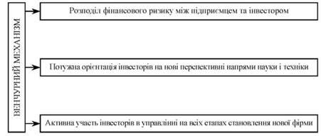 основні відмітні особливості венчурного (ризикового) механізму фінансування нововведень