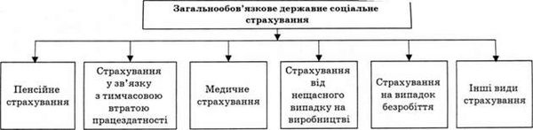 види загальнообов'язкового державного соціального страхування в україні
 
