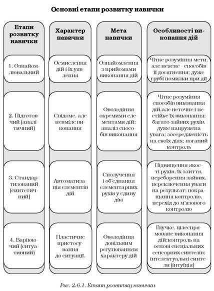 етапи розвитку навичку 