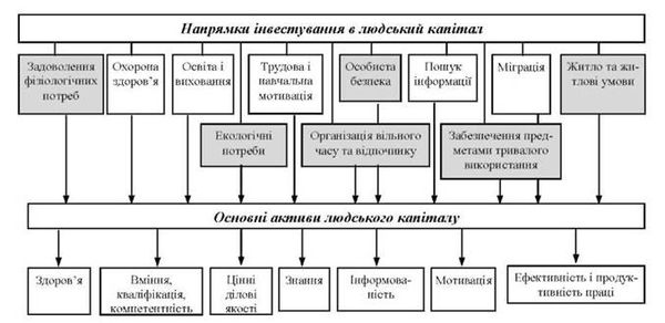 напрямки інвестування в людський капітал