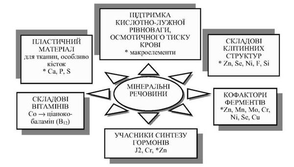 фізіолого-гігієнічна роль мінеральних речовин