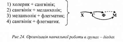 організація навчальної роботи в групах - діадах 