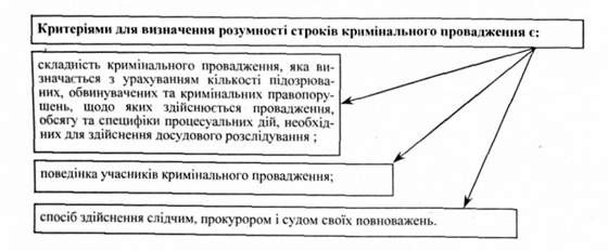 розумність строків

