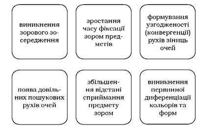 базові аспекти розвитку зору немовляти