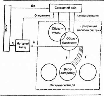 схема предметної дії оператора
