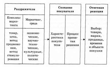 развернутая модель сознания потребителя
