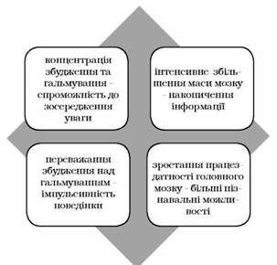 вплив фізіологічного розвитку на психіку переддошкільника