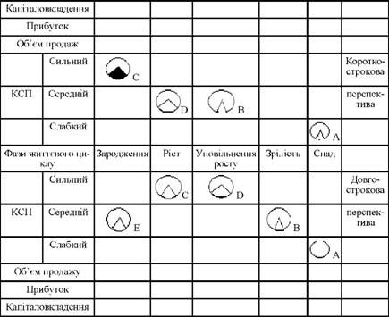 матриця хофера - шендела балансування набору бізнесів у господарському портфелі