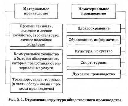отраслевая структура общественного производства 