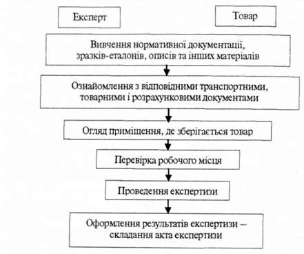 основні етапи проведення експертизи