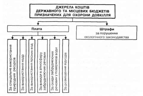 схема формування бюджетних коштів природоохоронного призначення