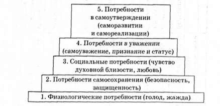пирамида нужд маслоу