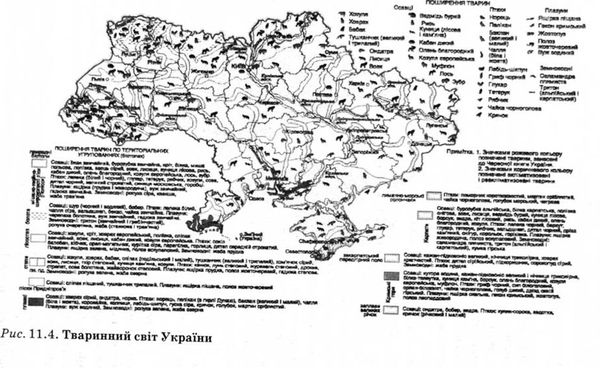 твариний світ україни 