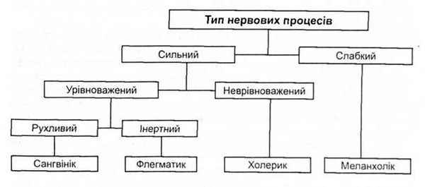 класифікація темпераментів