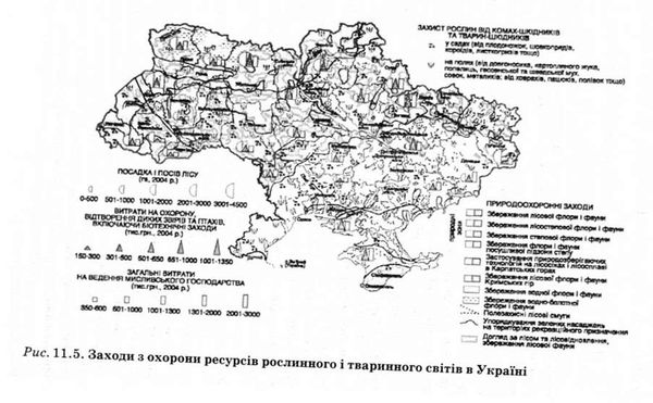 заходи охорони ресурсів рослинного і твариного світу 
