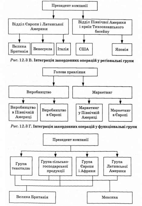 виділення закордонних операцій у матричну організаційну структуру
інтеграція закордонних операцій у функціональні групи