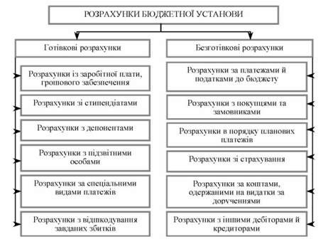 схема розрахунків бюджетної установи