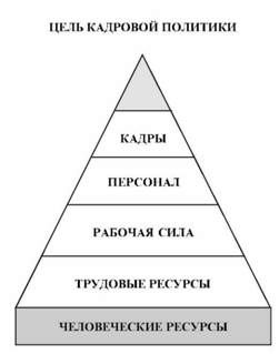объект кадровой политики