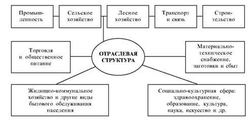 отраслевая структура народного хозяйства