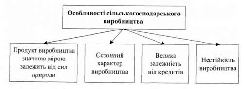 особливості сільськогосподарського виробництва