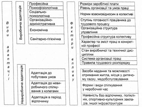 види адаптації та фактори, що на неї впливають