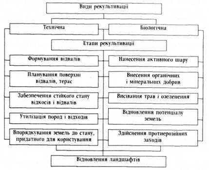 види та етапи рекультивації землі