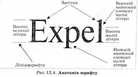 анатомія шрифту 