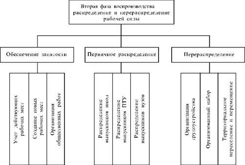 содержание второй фазы воспроизводства совокупной рабочей силы 