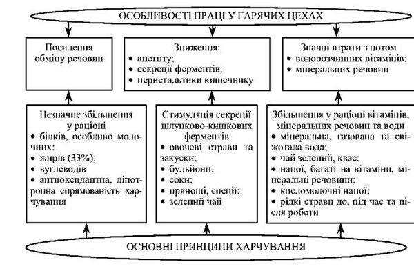 основні фізіолого-гігієнічні принципи харчування працівників гарячих цехів