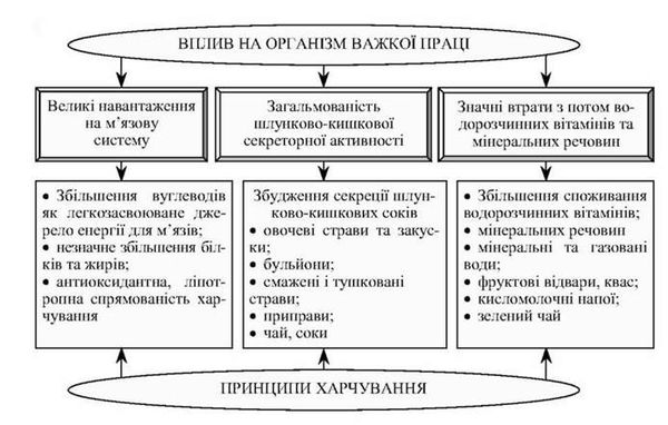 основні фізіолого-гігієнічні принципи раціонального харчування працівників важкої фізичної праці
