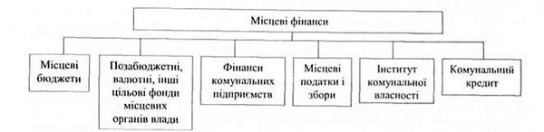 інституційна структура місцевих фінансів