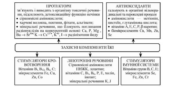 захисні компоненти їжі