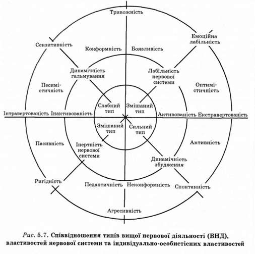 співвідношення типів вищої нервової діяльності (внд) властивостей нервової системи та індивідуально-особистісних властивостей 