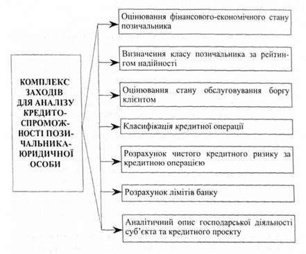 комплекс заходів для аналізу кредитоспроможності позичальника-юридичної особи