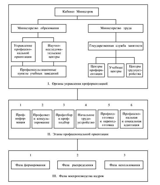 примерная схема управления профессиональной ориентацией