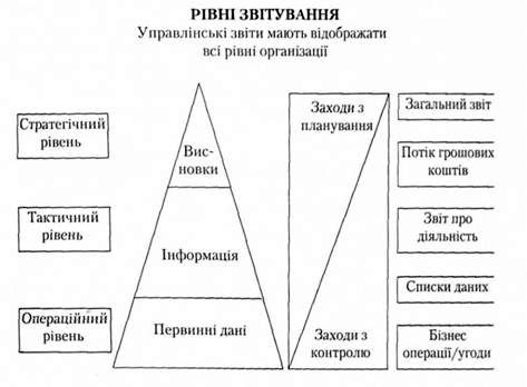 рівні управління та управлінська звітність