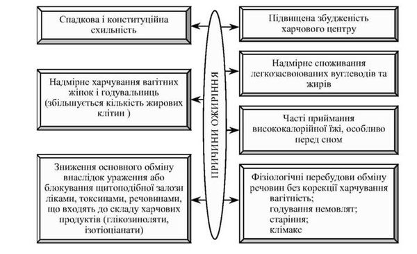 причини виникнення ожиріння