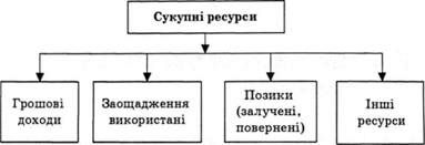структура сукупних ресурсів домогосподарств