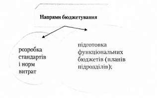 напрями бюджетування
