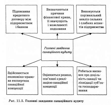 головні завдання санаційного аудиту 