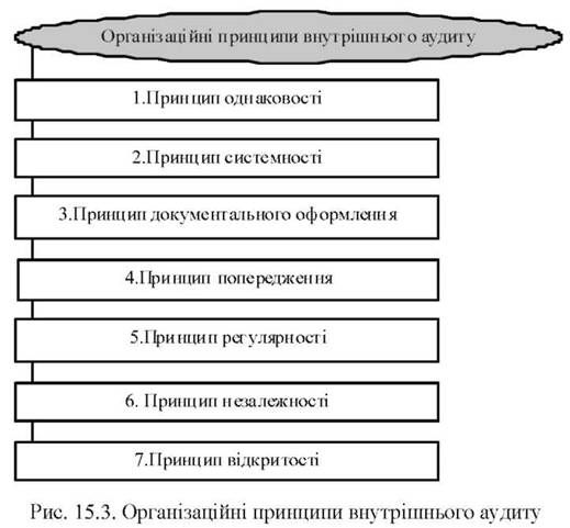 організаційні принципи внутрішнього аудиту 