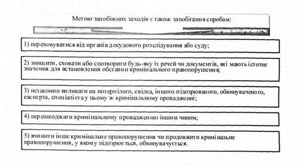 мета запобіжних заходів