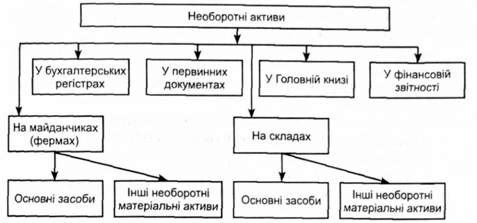 об'єкти аудиту необоротних активів