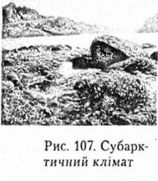 субарктичний клімат