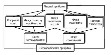 структурно-логічна схема використання чистого прибутку до реформування бухгалтерського обліку і фінансової звітності відповідно до міжнародних стандартів