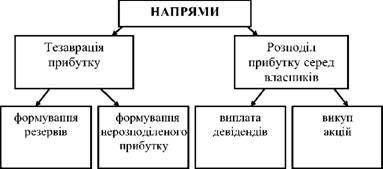 напрями використання чистого прибутку