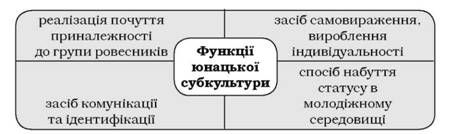 функції юнацької субкультури