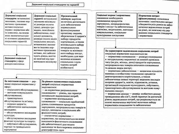 державні соціальні стандарти та гарантії