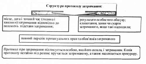 структура протоколу затримання: